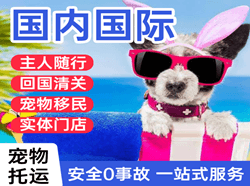 东极空运公司国际宠物托运 【国